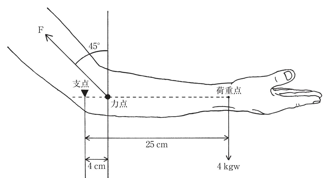 この問題の図（公式別冊）