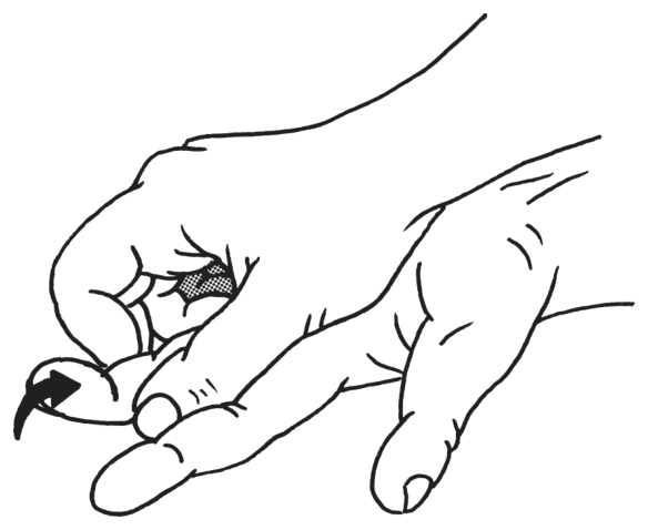 選択肢1