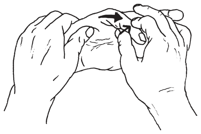 選択肢2