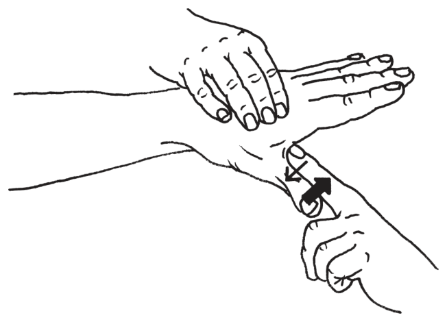 選択肢5