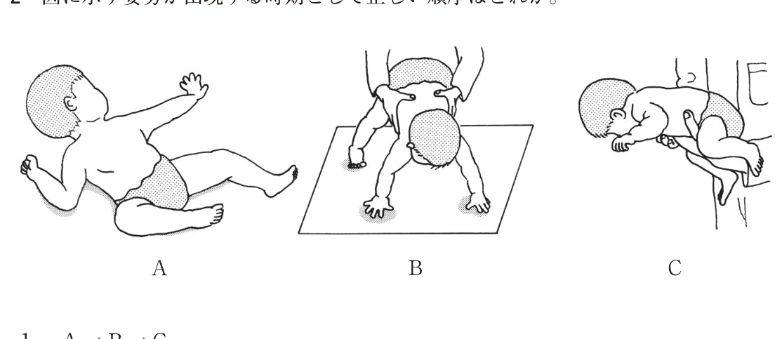 この問題の図(公式別冊)