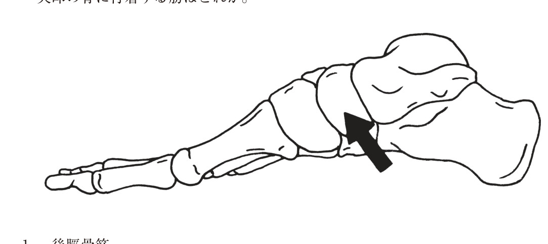 この問題の図（公式別冊）