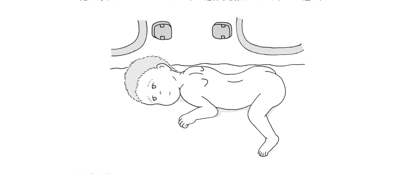 この問題の図(公式別冊)