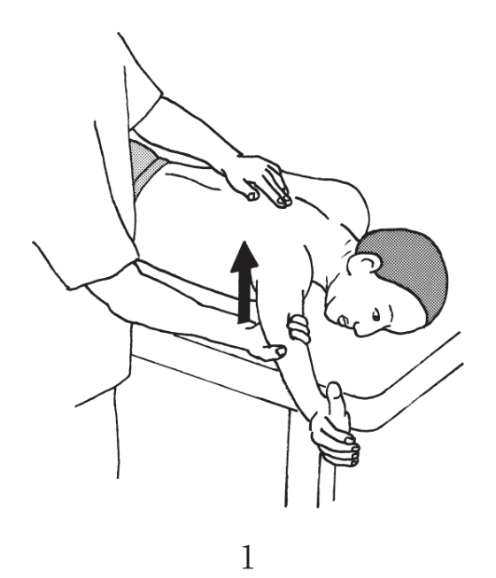 選択肢1