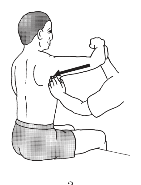 選択肢2