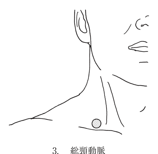 選択肢3