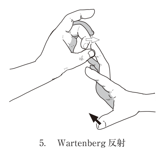選択肢5