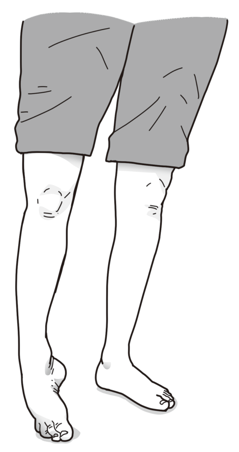 この問題の図(公式別冊)