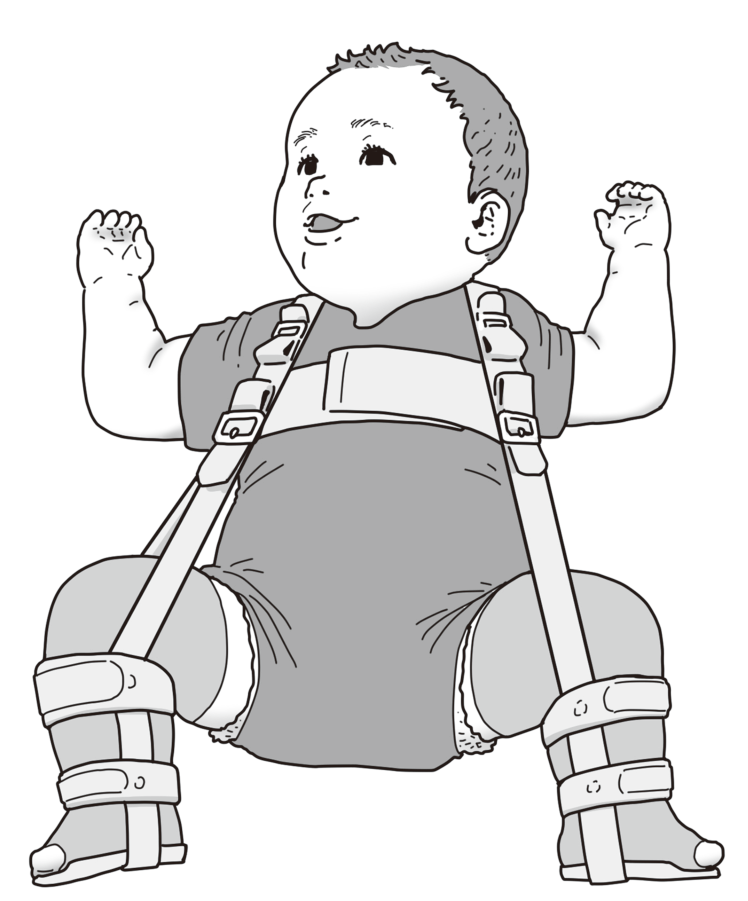 この問題の図(公式別冊)
